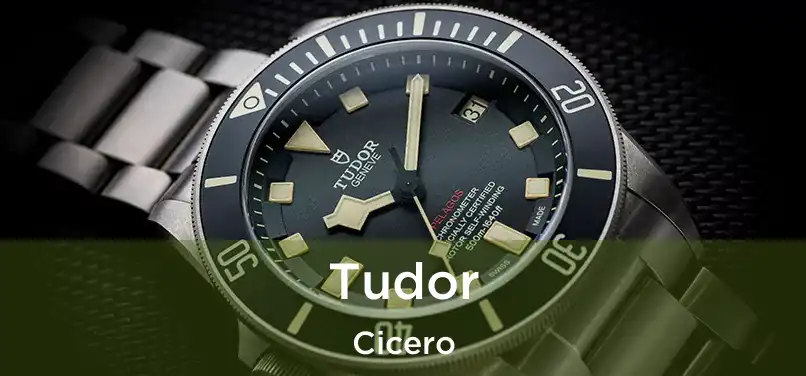  Tudor Cicero