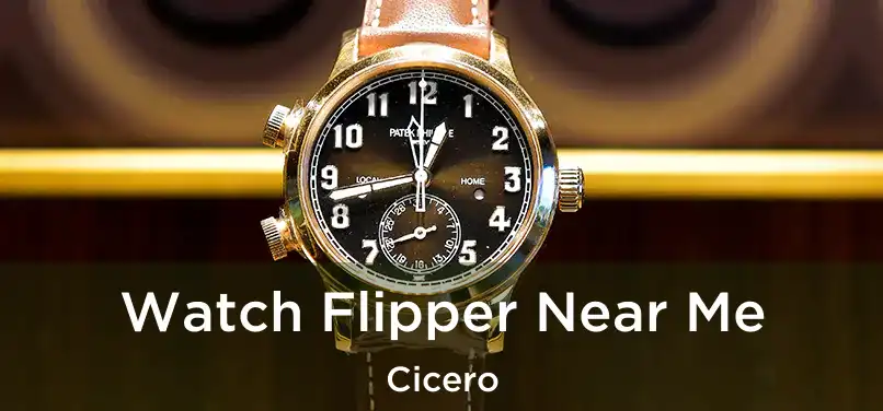  Watch Flipper Near Me Cicero